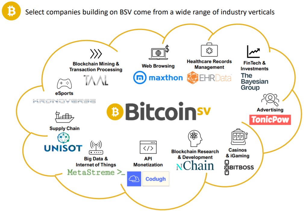 BIG blocks, BIG vision.  This image depicts well the growing  diversity of industry verticals building on the #BitcoinSV blockchain.  And there are even more.

From <a href="/Fundstrat/">Thomas (Tom) Lee (not drummer) FundstratDirect.com</a>'s report on #BSV:  bit.ly/3kyACzL
