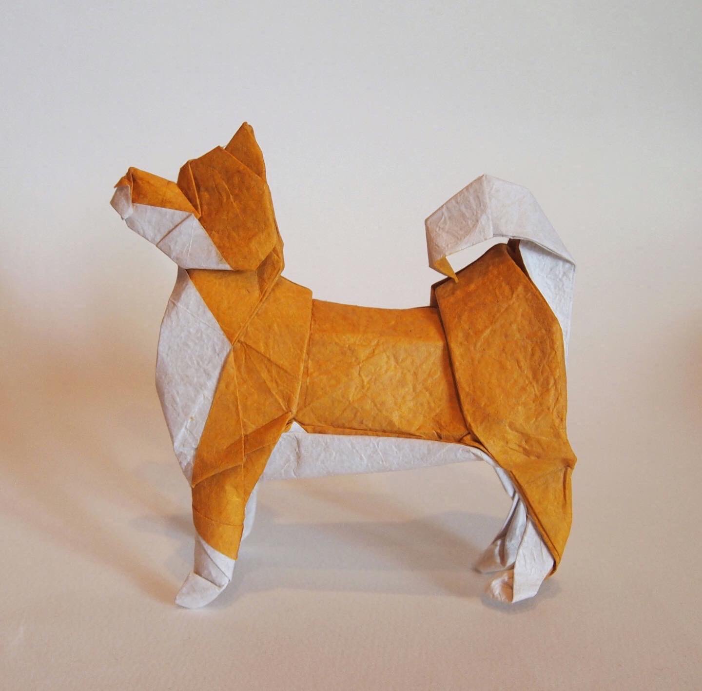 Origami Brasil Twitterren Rt Kobashi6 折り紙作品 柴犬 創作 折り 一匹柴犬 昔折った柴犬をリニューアルしました 下半身を改善 だいたい説明できる折り方にできたので いつか 折り図描きます Origami Dog 折り紙 折り紙作品 柴犬 T