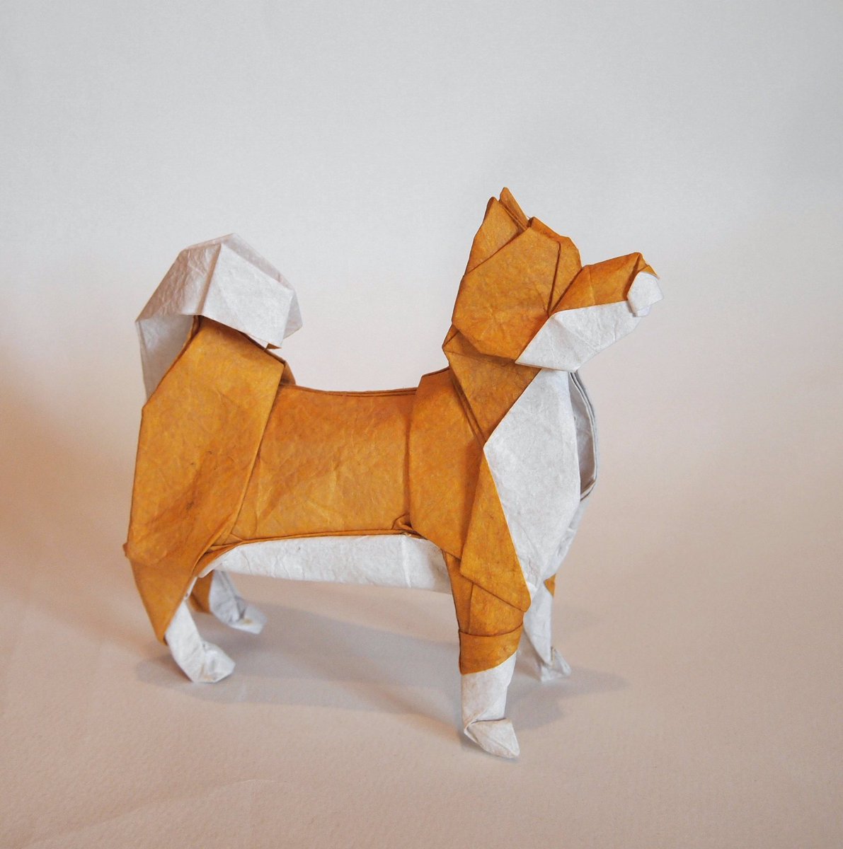 一匹柴犬 折り紙作品 柴犬 創作 折り 一匹柴犬 昔折った柴犬をリニューアルしました 下半身を改善 だいたい説明できる折り方にできたので いつか 折り図描きます Origami Dog 折り紙 折り紙作品 柴犬 T Co Trxaeevo1m Twitter