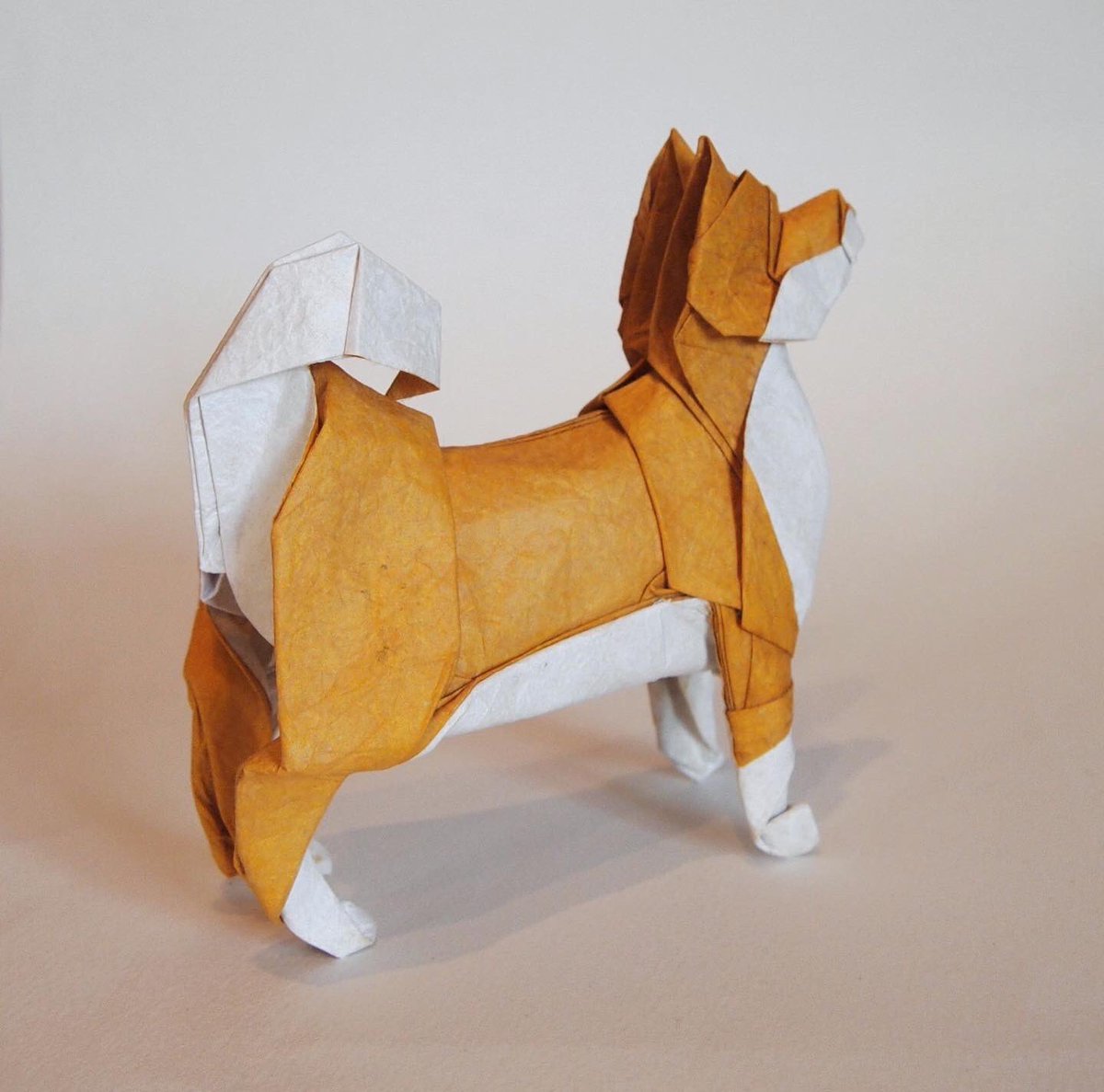 一匹柴犬 折り紙作品 柴犬 創作 折り 一匹柴犬 昔折った柴犬をリニューアルしました 下半身を改善 だいたい説明できる折り方にできたので いつか 折り図描きます Origami Dog 折り紙 折り紙作品 柴犬