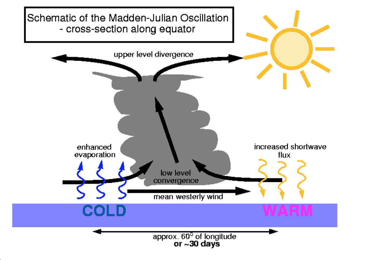 In addition to causing increased favourable divergence/convergence. Just to the west of the MJO convective phase, shear will be lessened as trade winds decrease for a short time and the ULL divergence vectors will be favourable. 3/