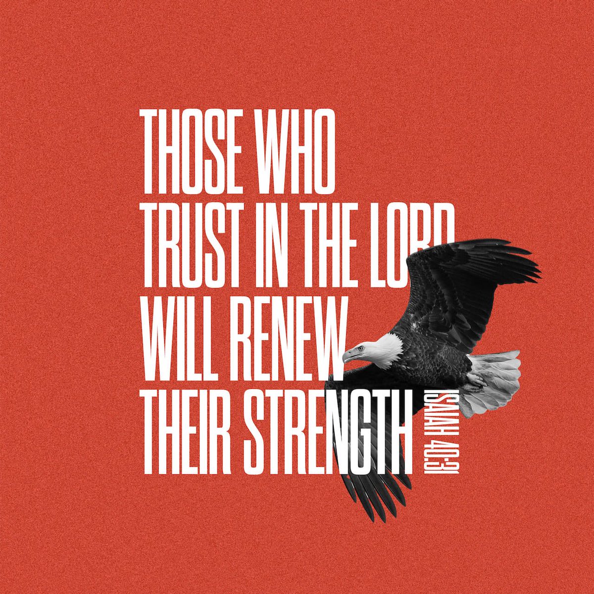thisislivingmd's tweet image. “...those who trust in the LORD will renew their strength.” - Isaiah 40:31

#thisislivingmd #trustinthelord #trustinghim #trustingodsplan #trustinthelord #trustinjesus #trusttheprocess🙏 #renewedmind #renewableenergy #strengthening @thisislivingmd @aliveyouth224 @ThisisIgniteYA