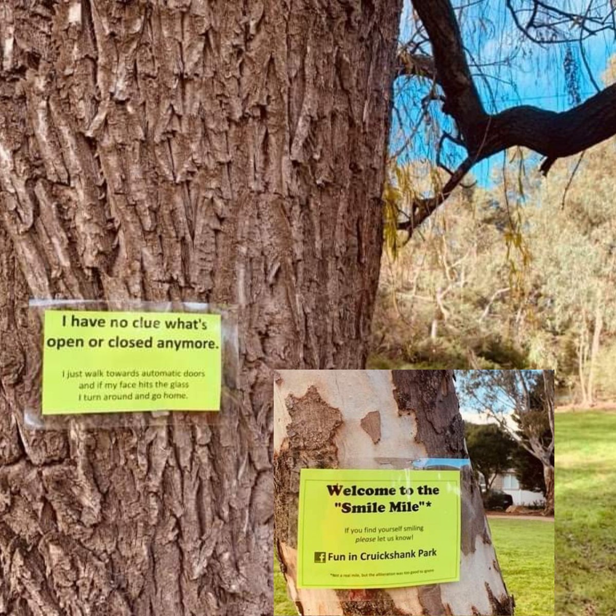WestsiderNews's tweet photo. The 'Smile Mile' turns frowns ⬆️➡️⬇️ in Cruickshank Park, by Yarraville local Lee Smith-Moir. Go to FB page 'Fun in Cruickshank Park' for community happenings in your radius - stay safe.
#communityspirit #smilemile #within5kms #isowalks #stage4 #covid19  #melbswest https://t.co/LM3HYto4Cm