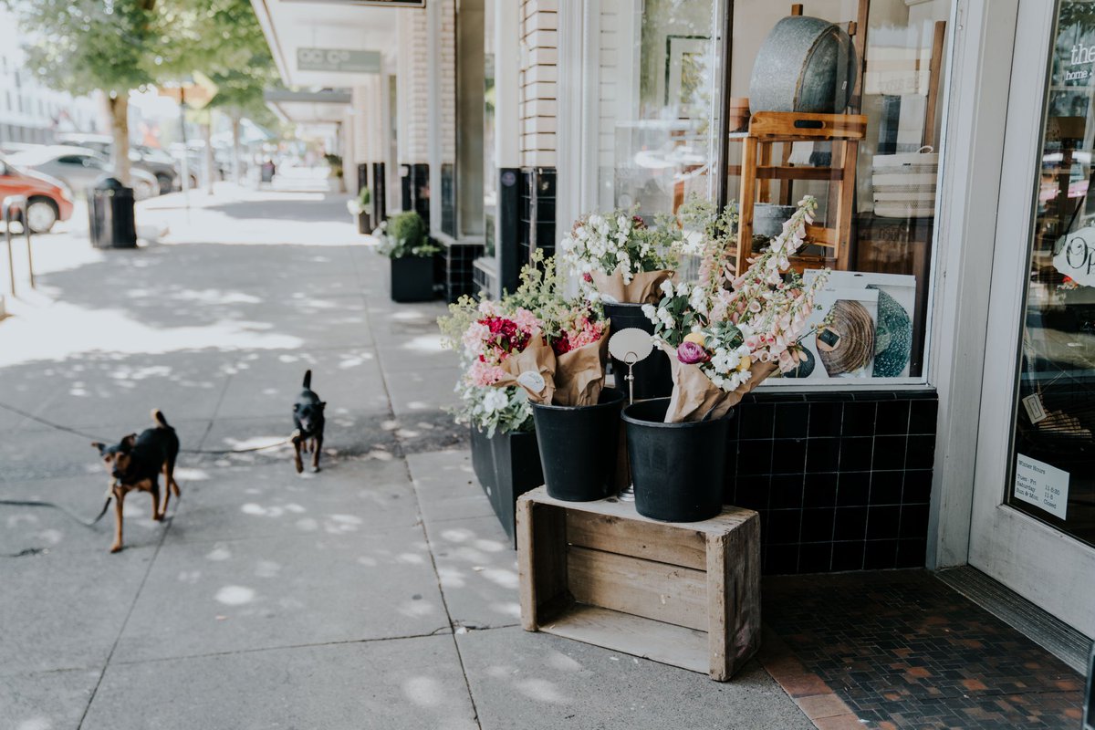 I always love to see what fun new things <a href="/thearbor/">The Arbor</a> has for sale. What are your favorite downtown retail shops?