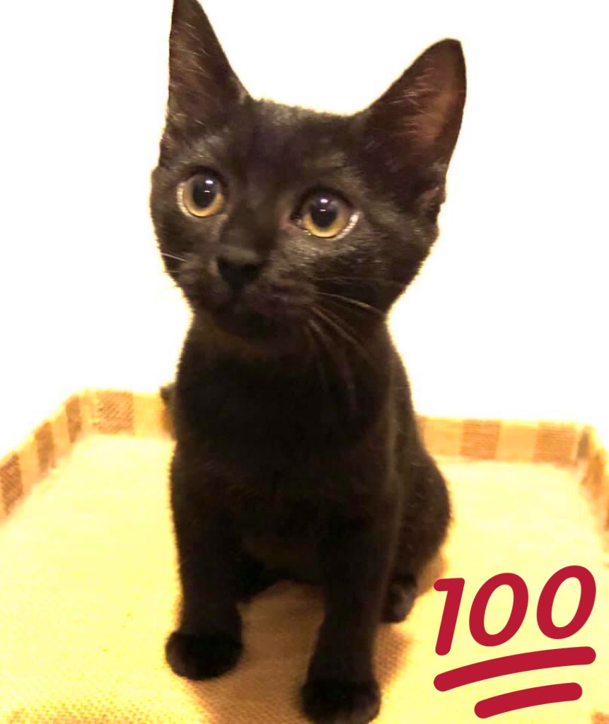 峯崎淳子 (@862i3Z9qbYBkdAu) / Posts / X