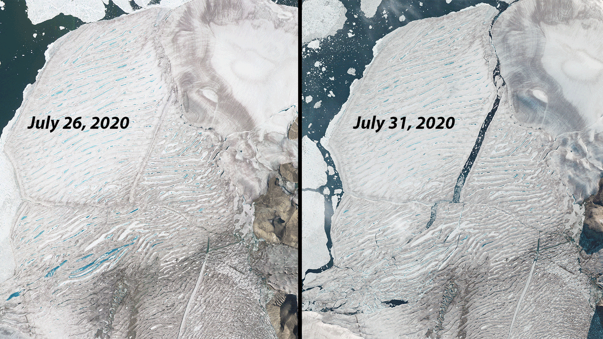 Gizmodo's tweet image. Milne Ice Shelf, we hardly knew ye bit.ly/31E5tTa