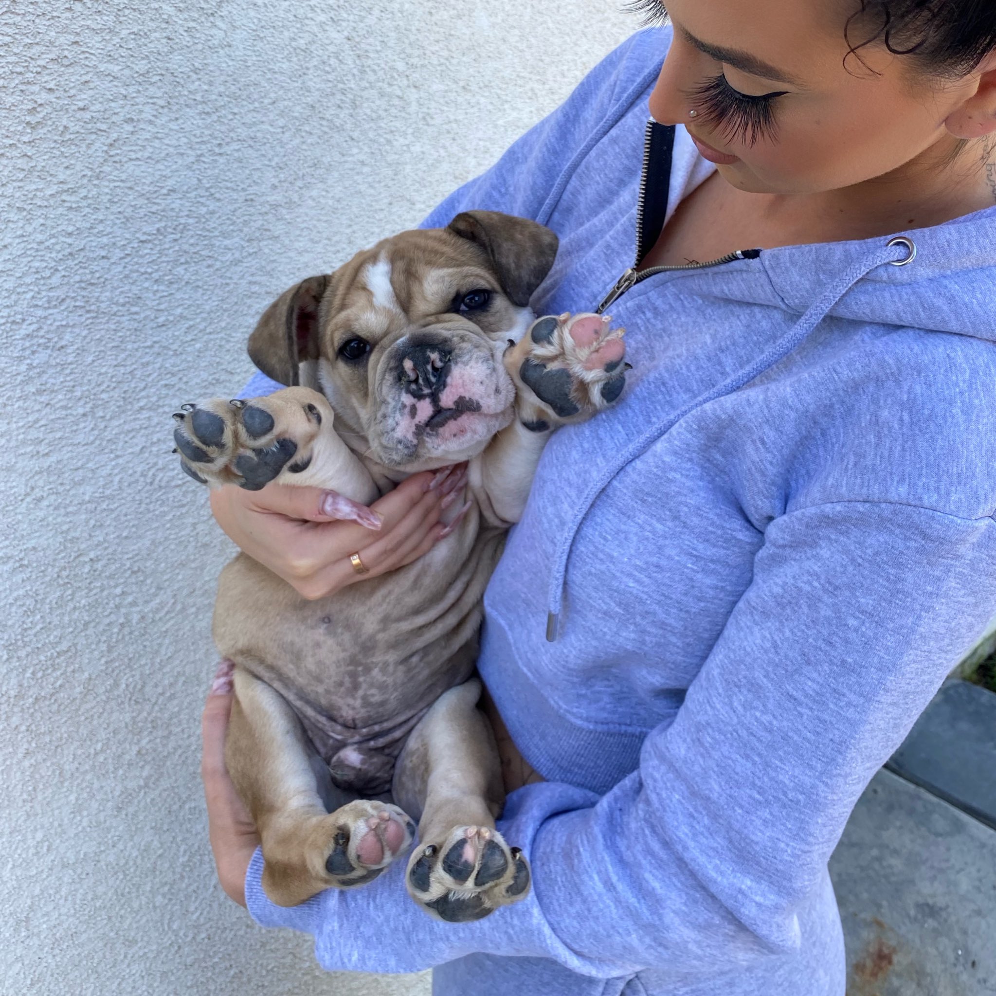 TW Pornstars - Sahlt. Twitter. I should of named him peepee head