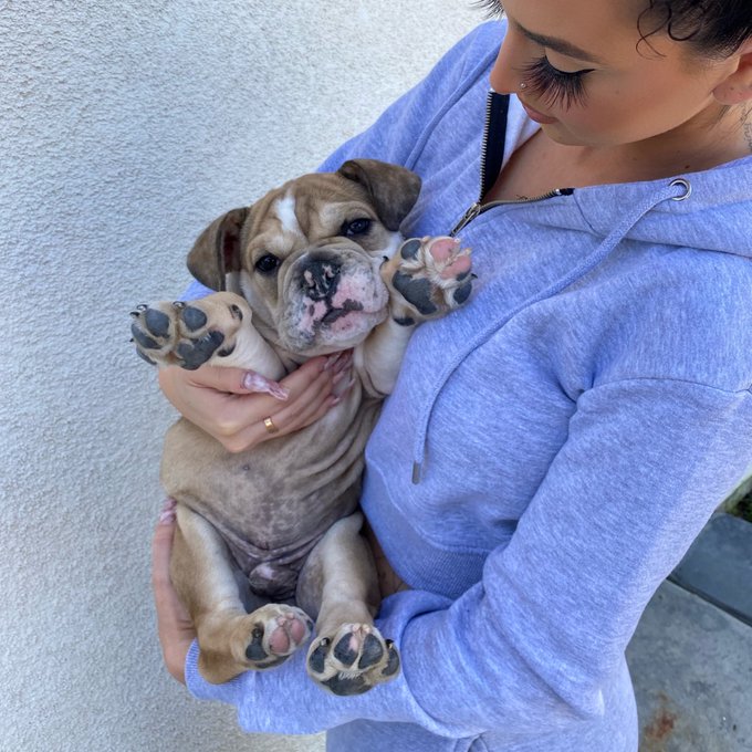 I should of named him peepee head because he loves to pee everywhere and sits in it💗 https://t.co/MO