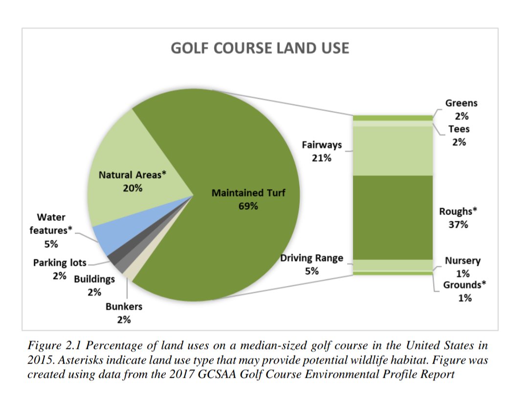biolobrie's tweet photo. Management of the roughs matter. It's a delicate balance, but that is where the increased potential for supporting native flora/fauna lies. Especially in urban landscapes where size matters
#urbanecology #golfcourseecology #urbanconservation #sustainablesport https://t.co/oNuV4BkEl2