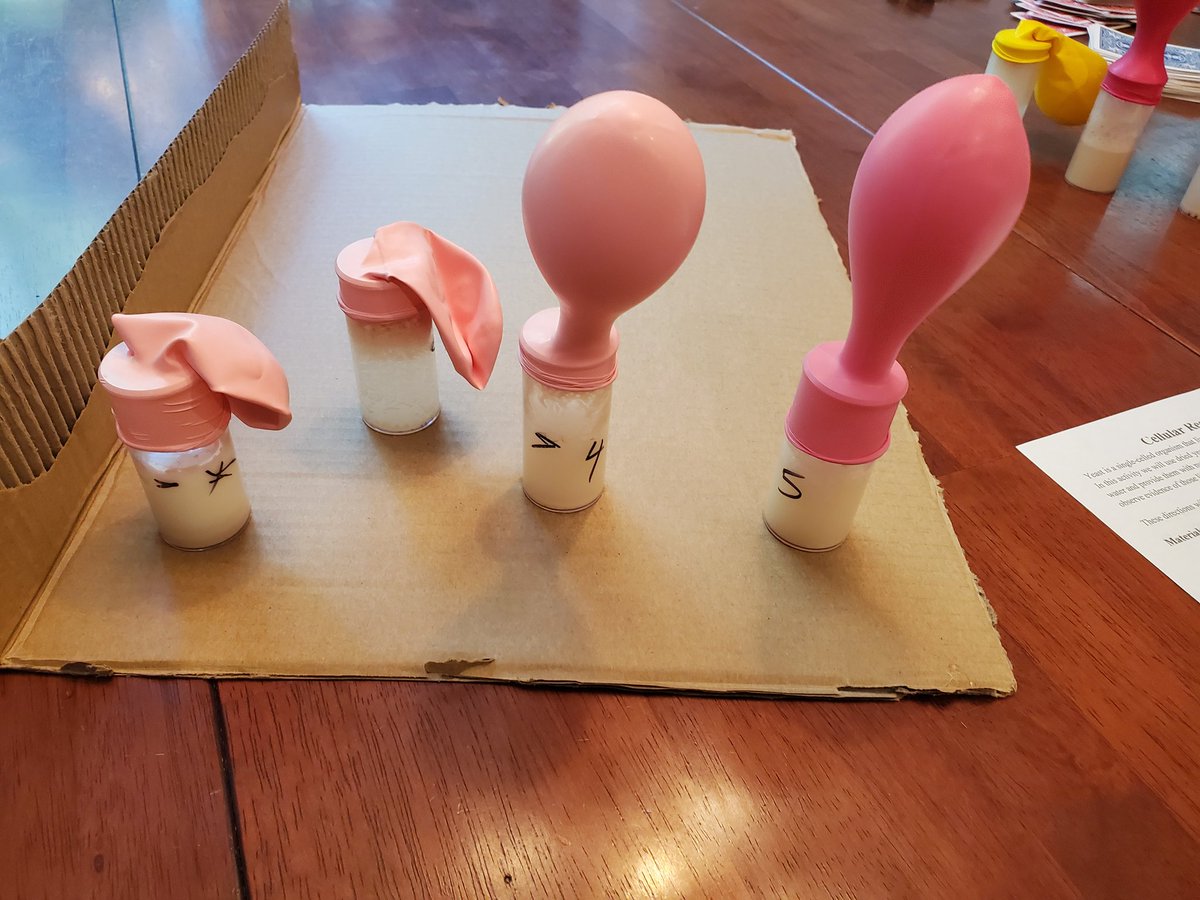 What, Splenda, you too? Still waiting on milk and sprite. <a href="/CIBLEARNING/">CIBL</a>