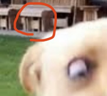 2 - just a normal cabinet behind a normal dog. Nothing to see here. Except if you look deeper into cabinets , u will realize there is more than just wood and screws involved. Something far more nefarious.