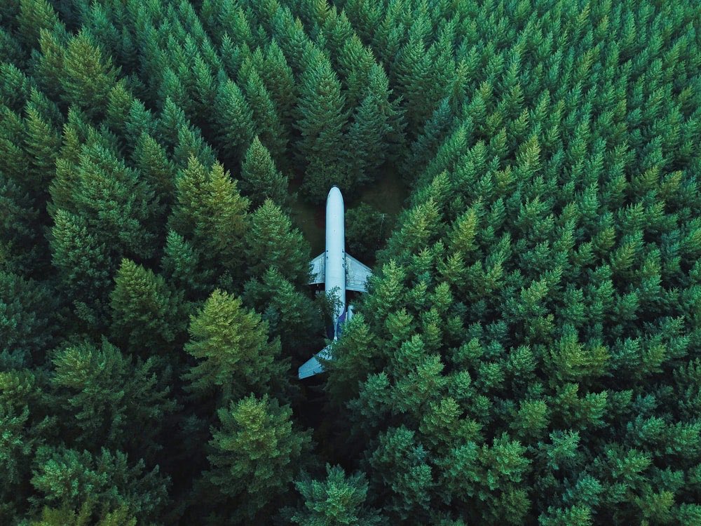 11 - plane in woods. Something (what is it) isn’t adding up