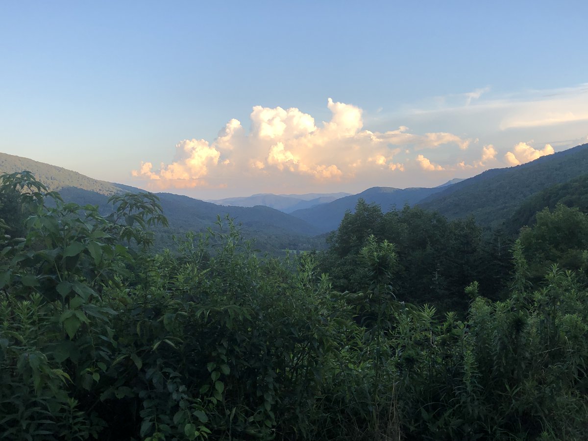 britestack's tweet image. #TrailNotes are back, and this week we went on an easy but uphill hike to Yellow Mountain Gap. #TrailTeam11 @WJHL11 wjhl.com/community/trai…
