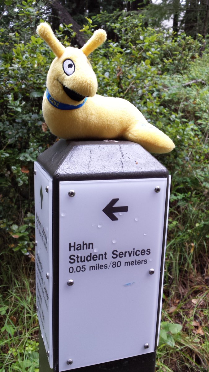 Applications for admission to the winter term is still open admissions.ucsc.edu/apply/transfer…