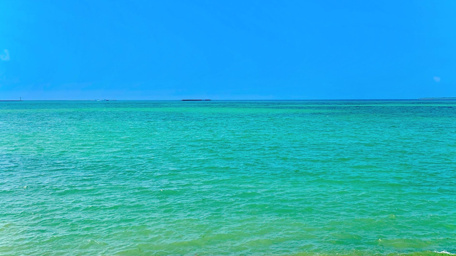 日本科学未来館 Sur Twitter おはようございます 毎日暑いですね ぐったり 夏といえば 海 実は 砂浜から肉眼で見えている 水平線の距離は おおよそ4 5km 単純にその距離を自転車で走ったら 約分 水平線 めちゃくちゃ近っ と思ったのは私だけ
