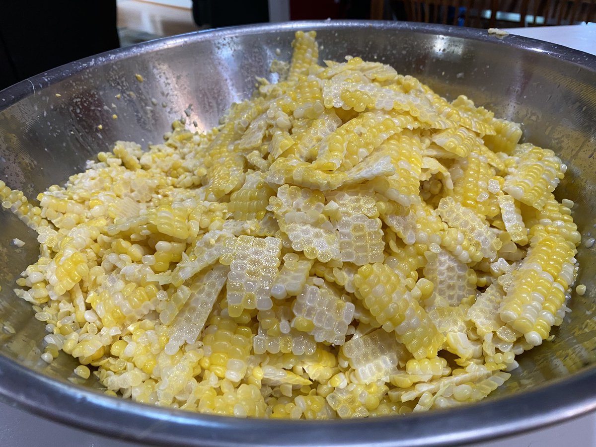 cabone3's tweet photo. The future is bright. #wintercorn. π½π½ https://t.co/c2Sy2JdlGN