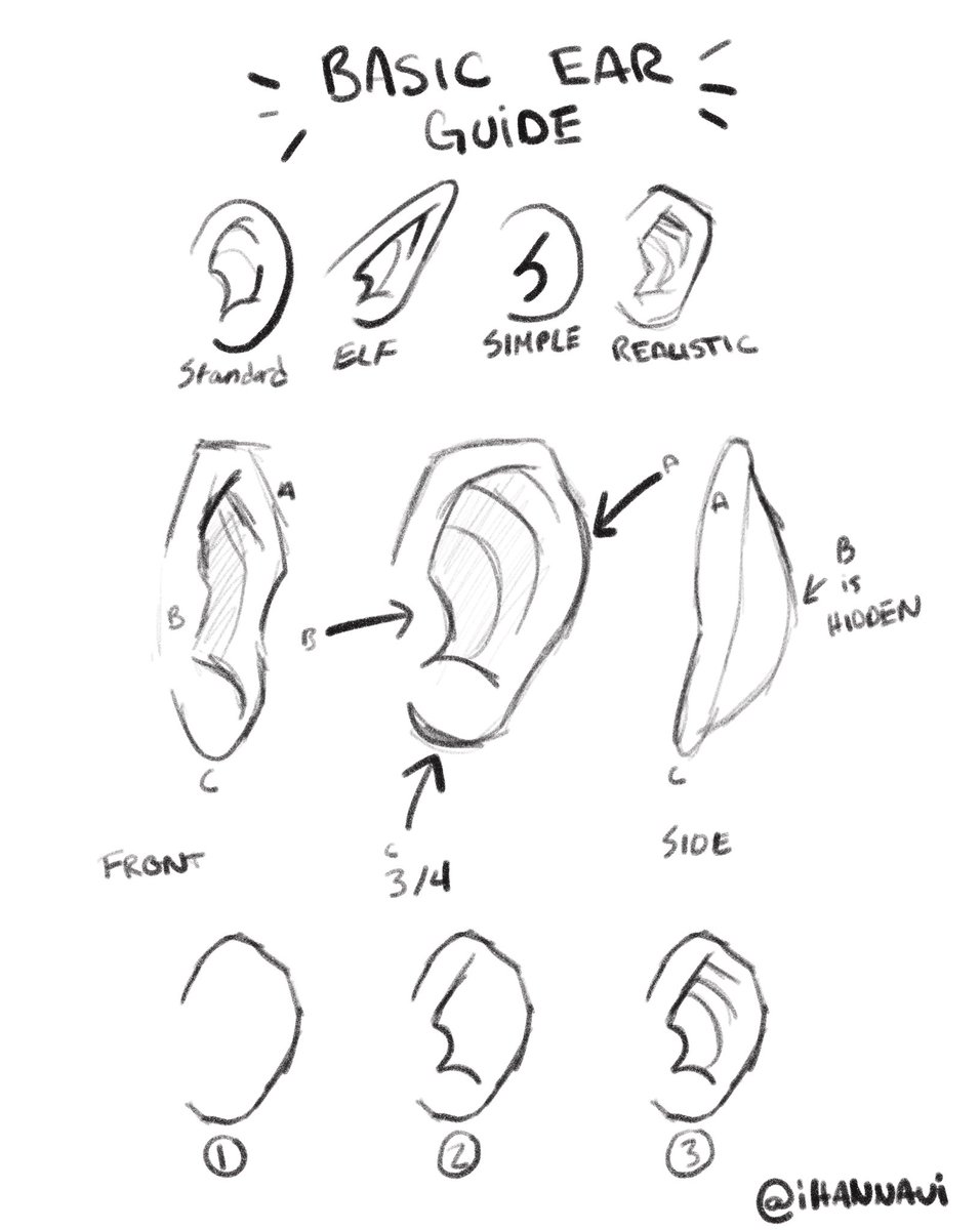 iHannavi's tweet photo. I made this back in May, but in case it helps anyone, here's a basic drawing ears guide. #FreeArtLessons https://t.co/NOa0wwRv8Z