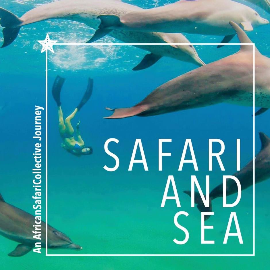 Anvil_Bay's tweet photo. #AfricanSafariCollective boasts six exceptional Southern Africa properties, kicking off with six spectacular journeys. Whether you’re looking to spend time in the mountains, bush, at sea or somewhere in between, we can deliver your dream #SafariAndSeaJourney #FurtherTogether https://t.co/Wu7ECf9R86