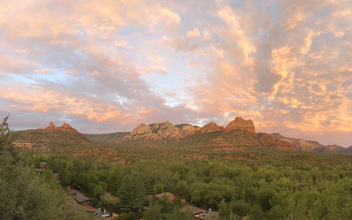 Pink Jeep Tours tweet media