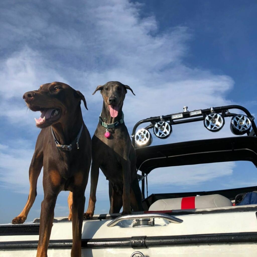 Exile Audio tweet media