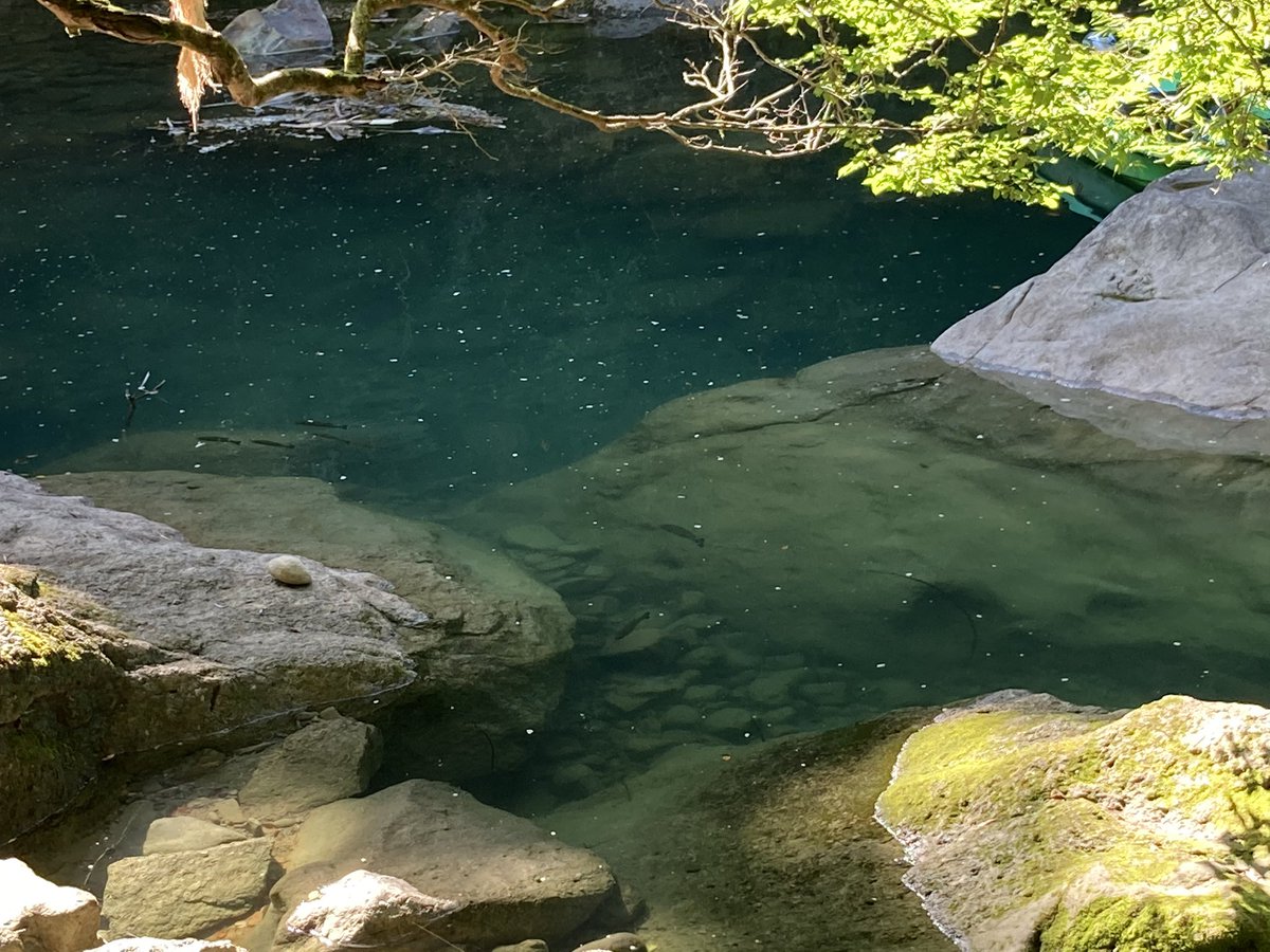 デカバサ Evergreen0178 Twitter