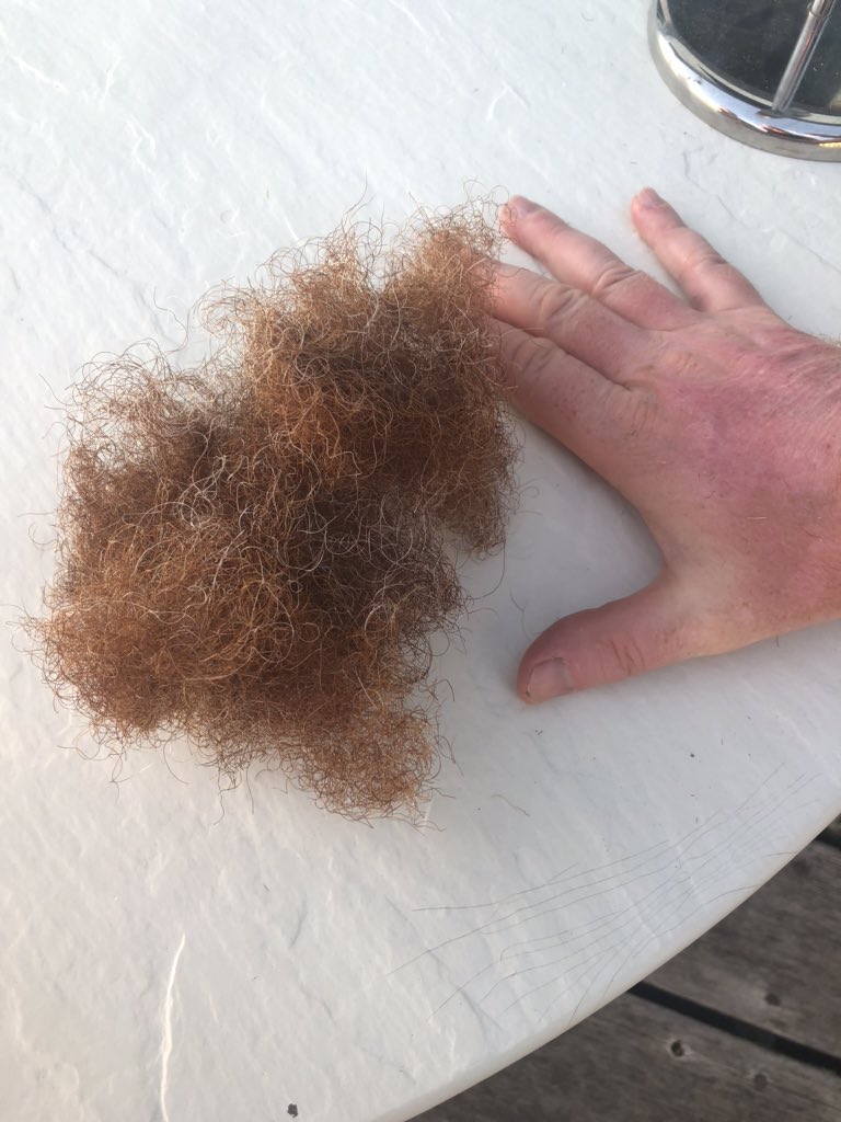 dave_bradley's tweet photo. So long old friend. #ShaveDave https://t.co/K8q8rAwWmx