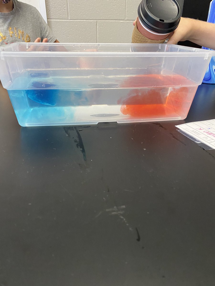 Convection Currents lab today in science 🧪