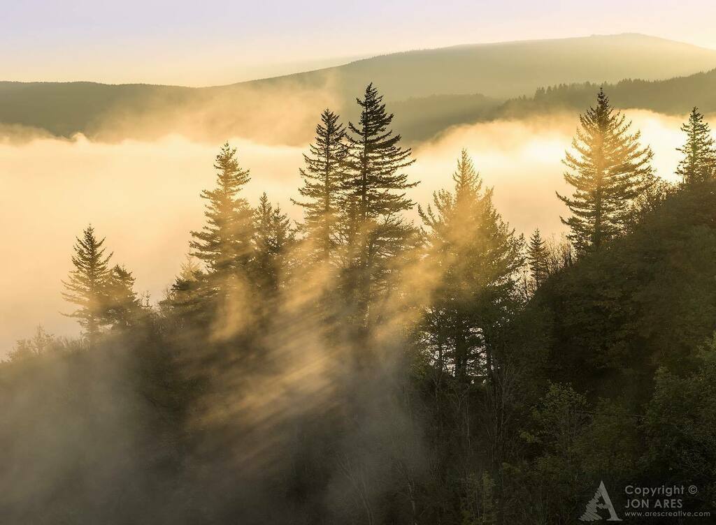 jon_ares's tweet photo. Sunrise. Fog. Trees. Inversion. Love it all. 👍
.
.
.
#thepnw #pnwadventures #explorepnw #pacificnorthwest #pnwisbeautiful #upperleftusa #cascadiaexplored #exploretocreate #elementsofwild #visitpnw #depthsofearth #lifeofadventure #staypnw #pnwroame… https://t.co/ueVLXIBX6i https://t.co/AaFqiD5zsU