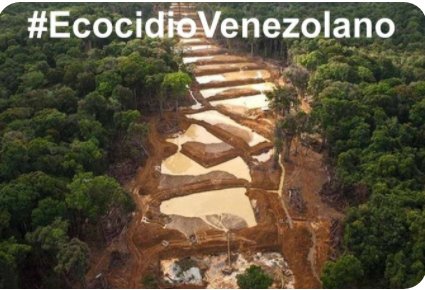 #EcocidioVenezolano #SOSMorrocoy #ChavismoCriminal #TaskForce4Venezuela @realDonaldTrump pic.twitter.com/WwiFe9infa