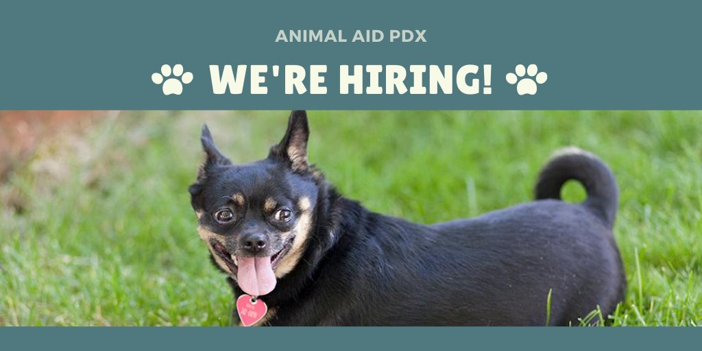 Animal Aid tweet media