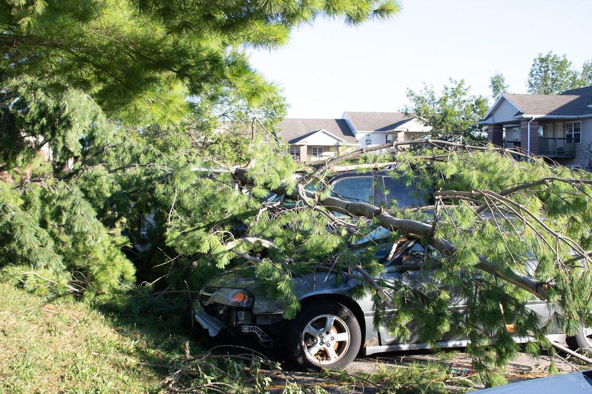Lots of trees that fell on vehicles, some are completely smashed as this Ford, others I couldn& #39;t tell how significant the damage was. Blown out windows on homes and cars were common. Wooden powerlines were snapped in the high winds. A lot of roads are STILL impassable.