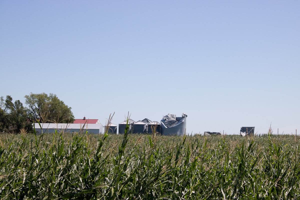 More flattened corn and destroyed silo grain bins around the Woodward IA area.