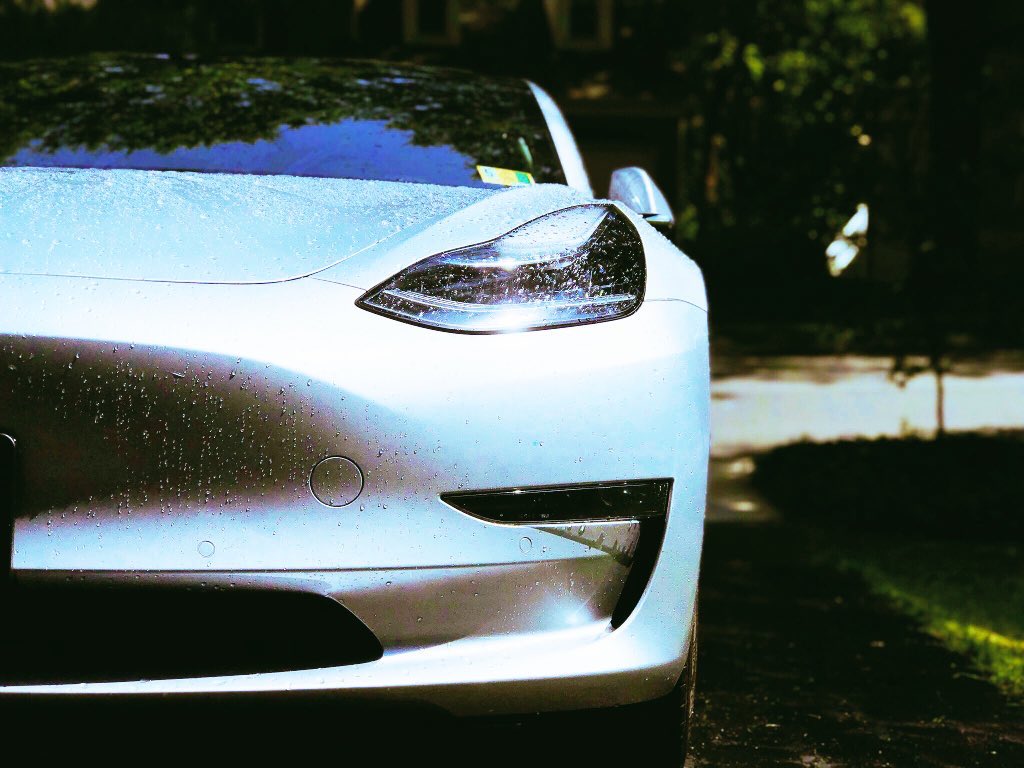 Lexi Heft tweet media