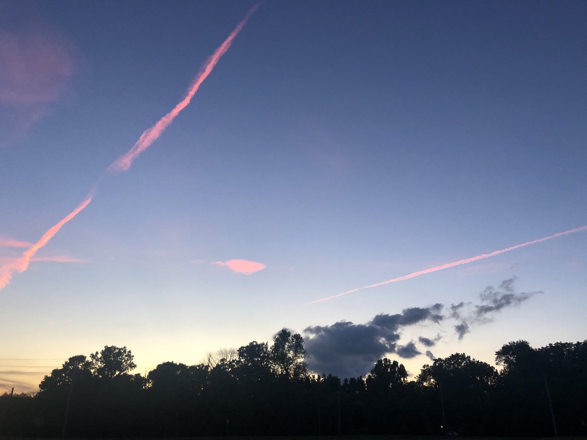 Beth Ferrin tweet media