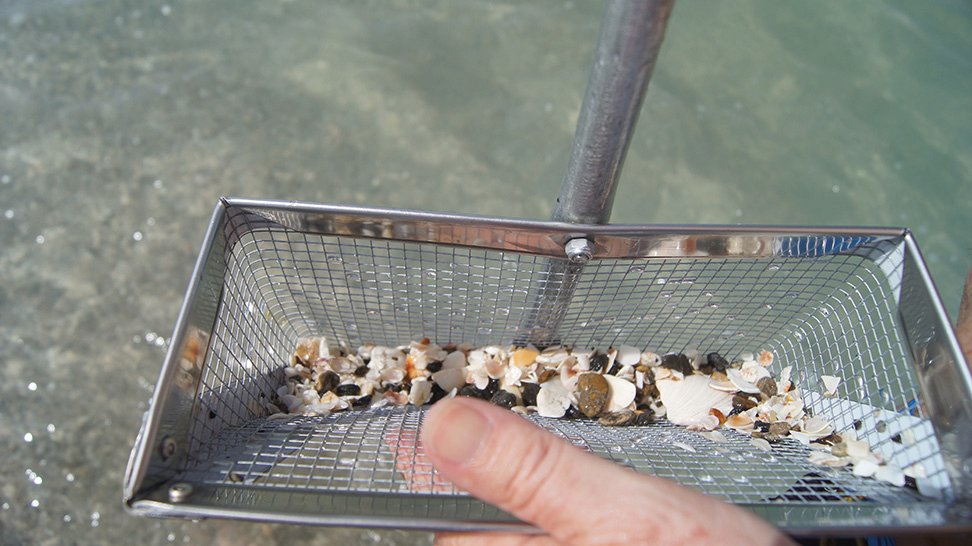 VisitSarasota's tweet photo. Fresh air and shark tooth fossils can be found on #Venice #Caspersen and #Manasota any week! ๐ฆ๐ด #sharktoothcapitaloftheworld #sharkweek #mysarasota
Learn More ๐ฐ๐ https://t.co/mWrOVaNwJ6 https://t.co/XaDPcYbQAO