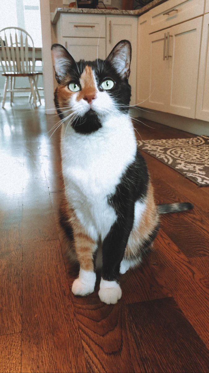 Marybeth Hall Lohoff tweet media