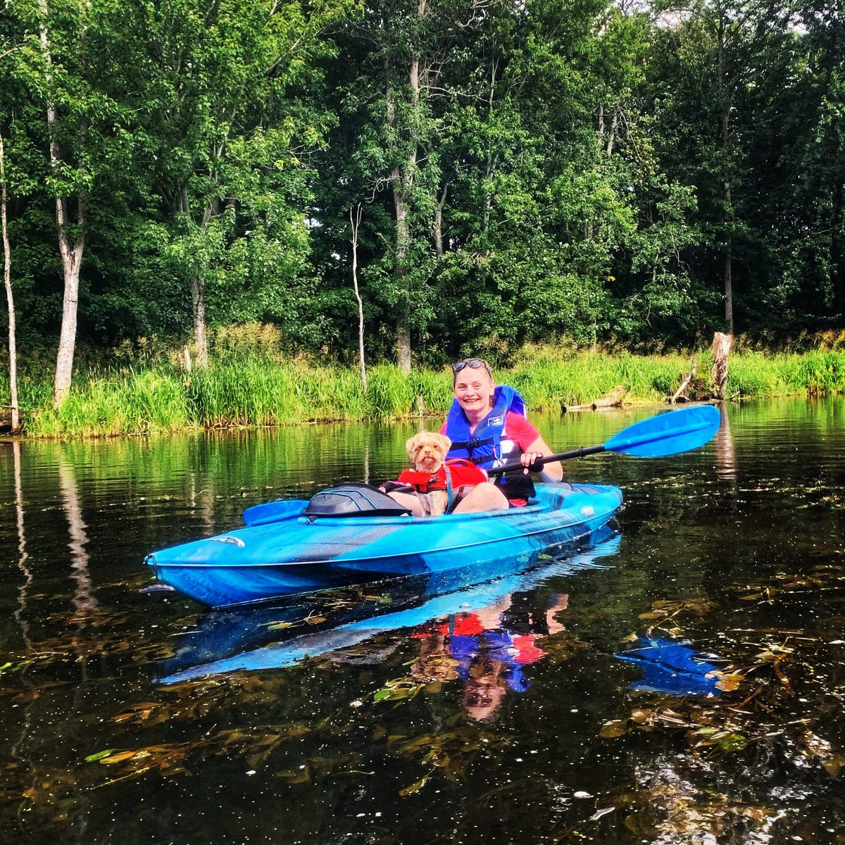 AgilitywAmanda's tweet photo. Joey and I love kayaking 😁
#kayaking #kayaklife #kayakdog #kayakingwithdogs #kayakingadventures #exploringnature #exploringcanada #adventuredog #adventures https://t.co/YZtfI7ycUK