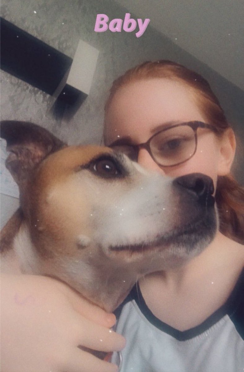 Claire_Robbo81's tweet photo. Honestly, the love I have for this dog, and in turn, the love he has for the kids! Deleted last tweet as it had my daughters Snapchat info in 🙄🙄 #endBSL #staffordshirebullterrier #staffy @pitbullsad #friends #huggsy #softerthanyouthink #AdoptDontShop #Frankie https://t.co/h4HLcDdYyh
