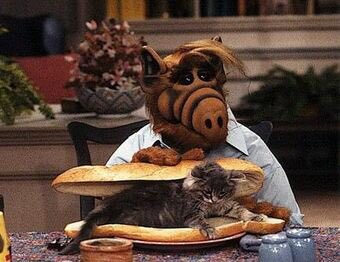 ALF and Lucky share a more or less affectionate relationship even tho ALF might eat Lucky at any time.  #Hannibal