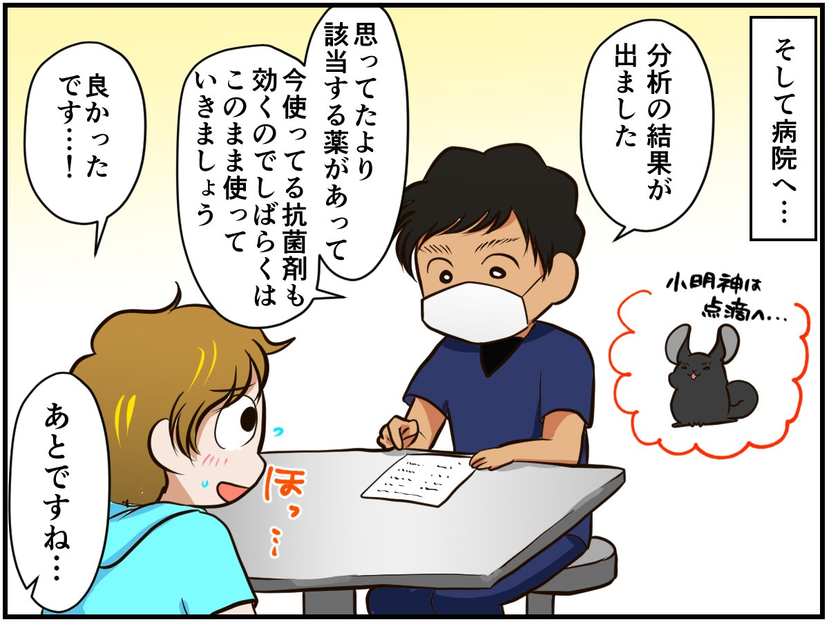 チンチライフ!更新されてます?✨
小明神の為に考えてもらった治療法、いつか誰かの大切なチンチラを救えますように!

続き?
頑張る?もうやめる?闘病生活は『決断』の連続。そして…【チンチライフ61話】 https://t.co/fujRArUPdj 

#チンチラ
#chinchilla
#漫画が読めるハッシュタグ 