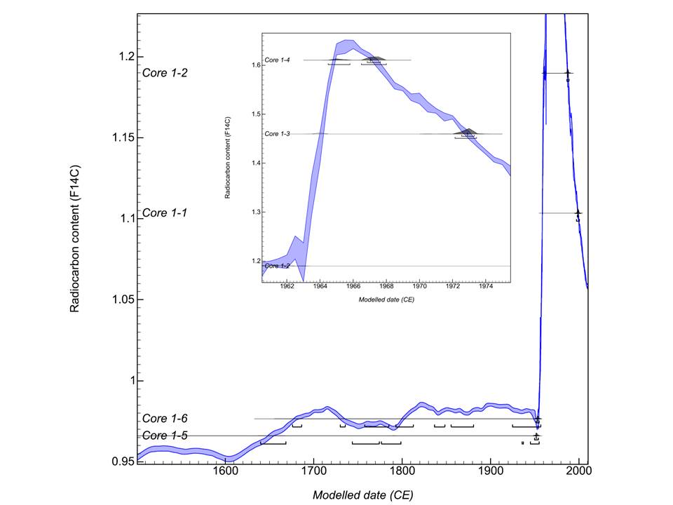 The radiocarbon dating results surprised us the most. They suggest the tree first grew around 1900, and the scar was created (and stone tool wedged into it) some time between 1950-1973  @ANSTO  @cabahCoE (12/-)