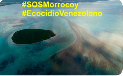 #TaskForce4Venezuela 
#SOSMorrocoy 
#EcocidioVenezolano 
#ChavismoCriminal  
@realDonaldTrump