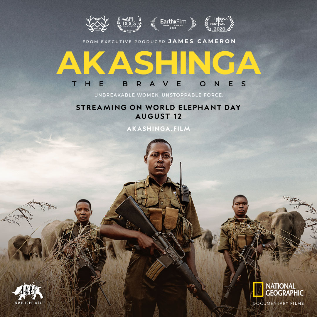 IT'S COMING...

#AKASHINGA