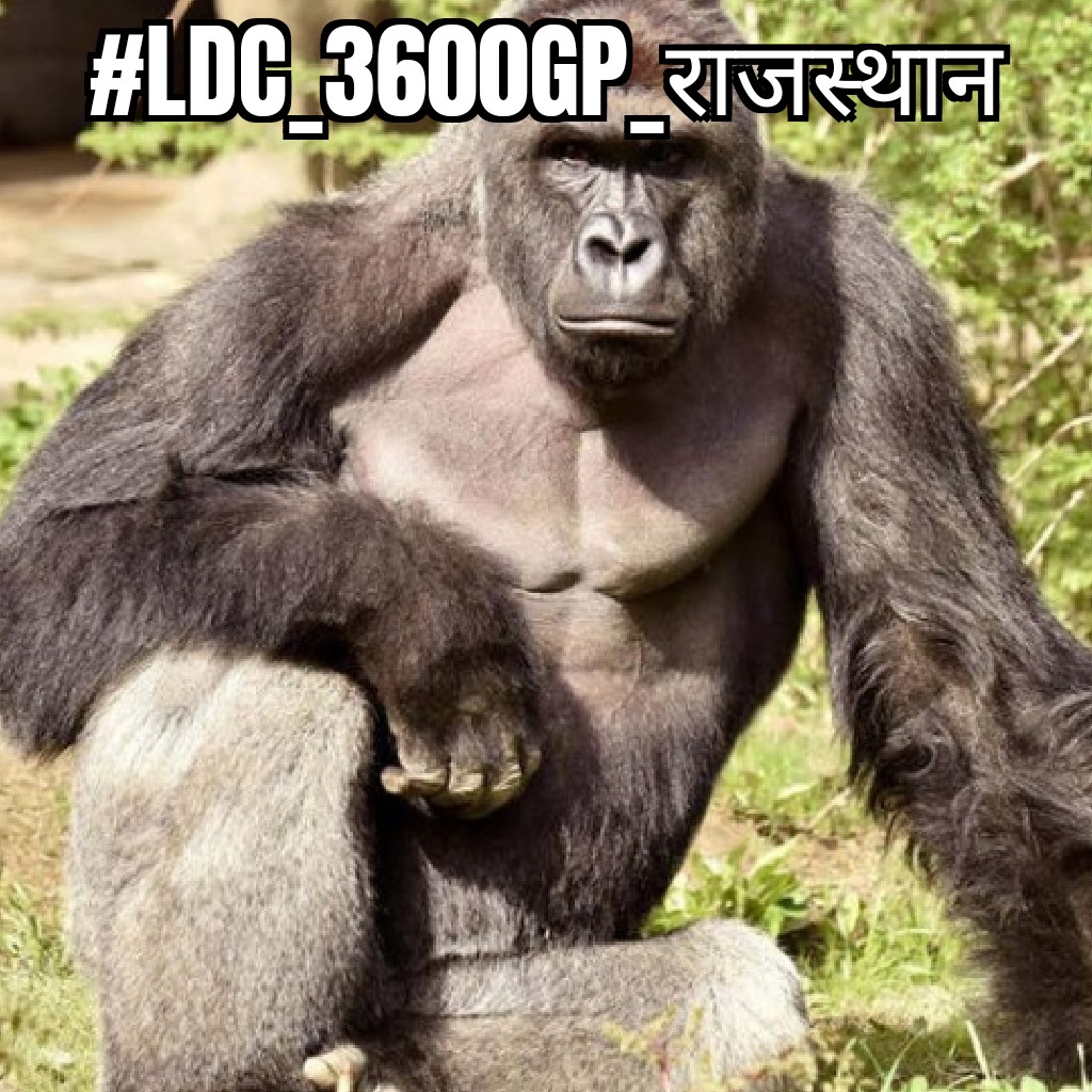Angadposwal's tweet photo. #LDC_3600GP_राजस्थान

I request to our cm @ashokgehlot51 ji for increase grade pay 2400 to 3600 for ldc grade 2
@zeerajasthan_ @1stIndiaNews @SachinPilot https://t.co/OaXDL4hc5d https://t.co/xDH1jtpCbW