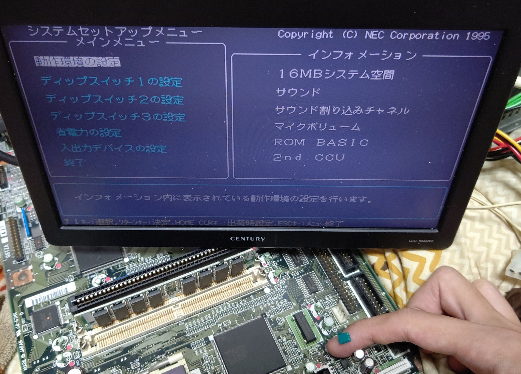 おふがお on X: おふがお on X: