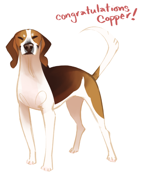 Today's special  #doggust is Copper the  #americanfoxhound... who, between me finding his photo a few days ago and drawing it today...GOT ADOPTED!  Congratulations little guy!! Here's another foxhound baby named Cricket who's still looking for a family!  https://www.petfinder.com/dog/cricket-48743178/md/jarrettsville/the-hero-rescue-incorporated-md502/