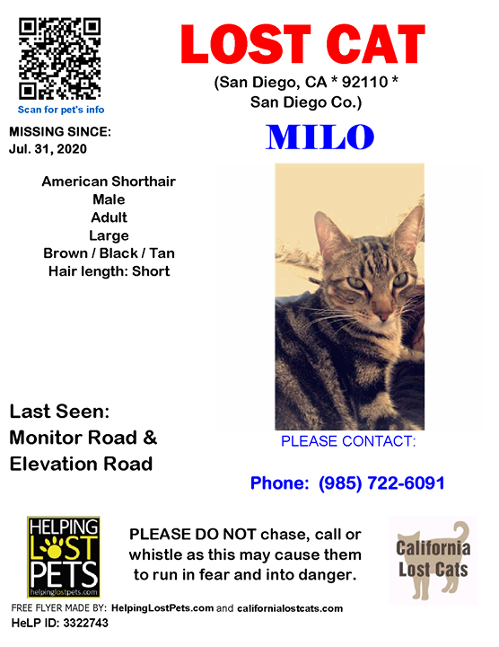 CALostCats's tweet photo. Lost Cat - San Diego, CA - Jul.31, 2020
Closest Intersection: Monitor Road &amp; Elevation Road
County: San Diego

#LOSTCAT #Milo #SanDiego (Monitor Road &amp; Elevation Road) #CA 92110 #SanDiego Co. , #Lost #Cat 07-31-2020!, Male #American Shorthair Brown / Black / Tan/Milo was wea… https://t.co/L8MhCMwMDx