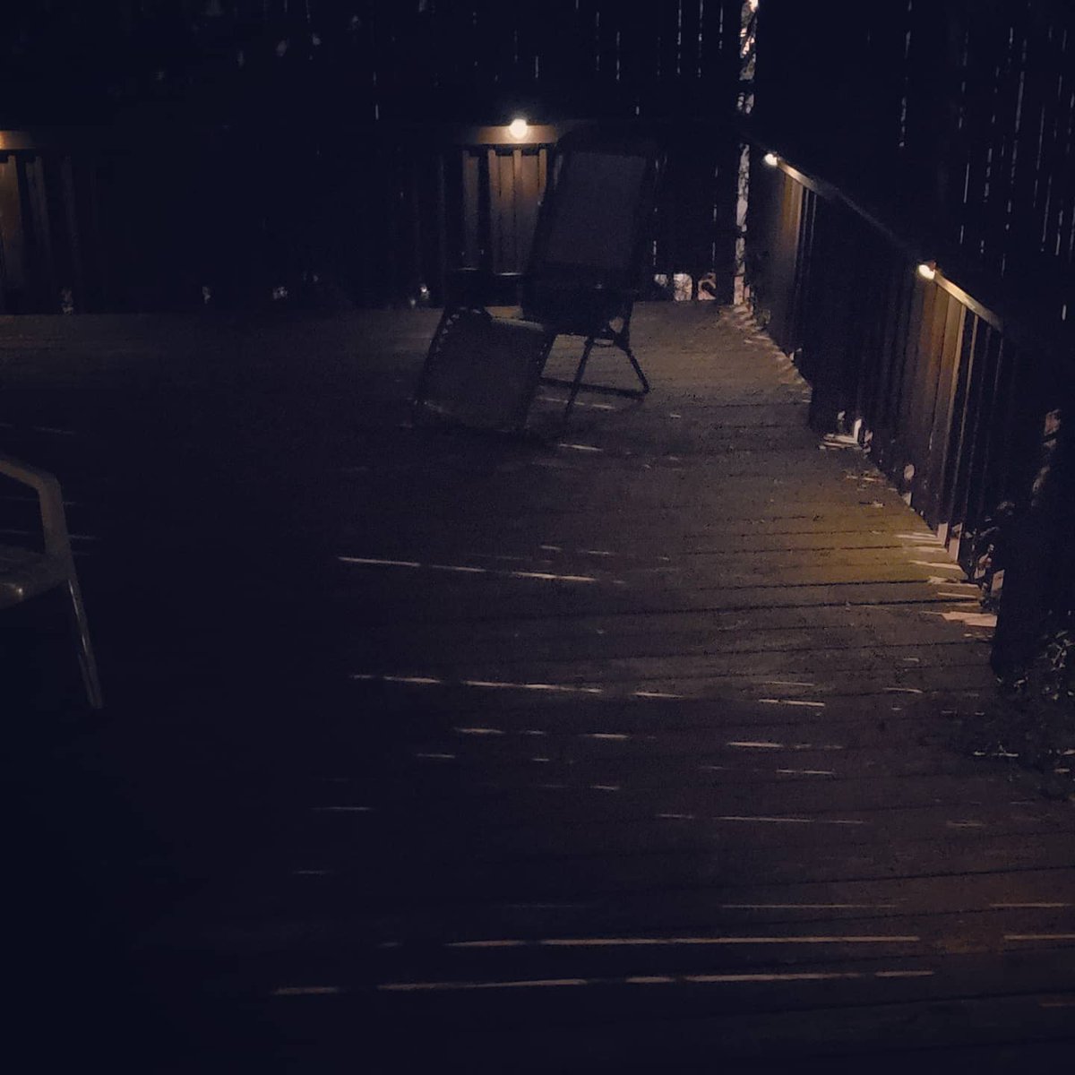 birdhouse18512's tweet image. #solardecklights