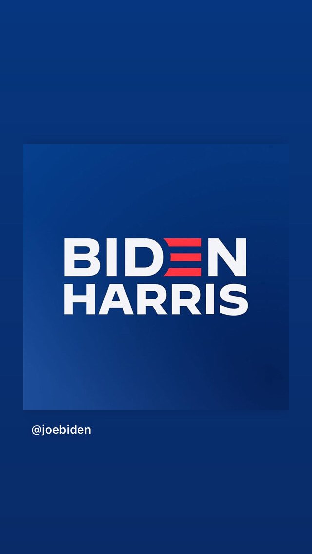 LisaGlantz's tweet image. #BidenHarris2020 #LetsWinThisThing