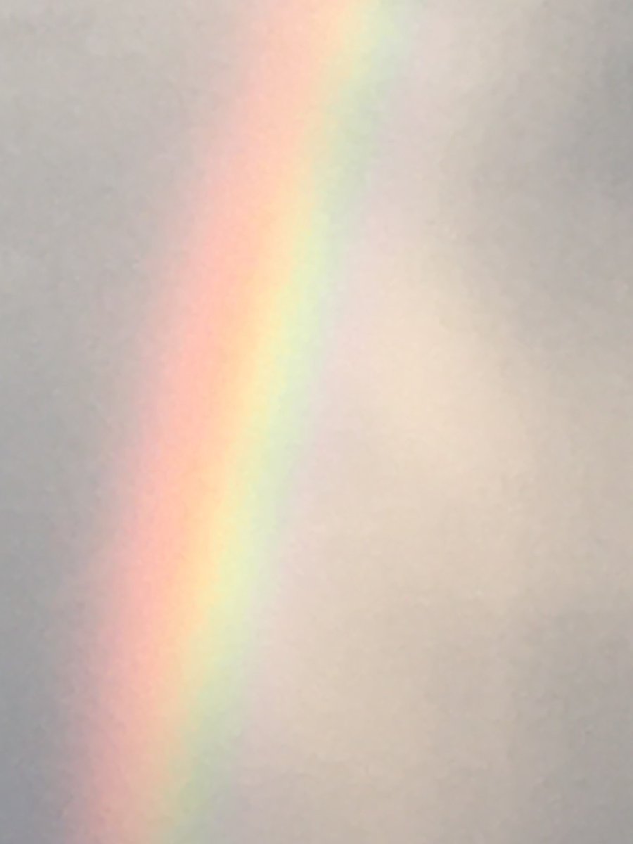 TheYborStudios's tweet photo. Pay attention to the #rainbows...
#Tampa, tonight after our nightly storm.
#MaskUp #implementstudios #WearAMask @CityofTampa @ILoveGayTampa @ILoveGayFlorida #BeSafe @JaneCastor #LGBTQ @ILoveGayHealth @TampaPride #pride #TampaBay
*all #Masks ship free
https://t.co/narpib9LZP https://t.co/yHEoWuhxEW